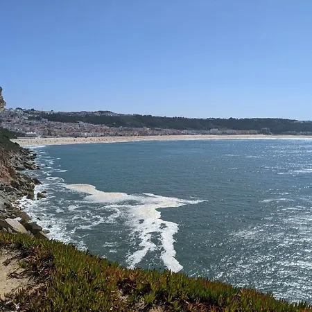Rural Retreat - Quinta Sol 3 Bedroom House - Nazare, Portugal 펜션 Casal do Mota