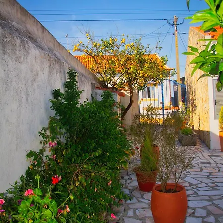 Rural Retreat - Quinta Sol 3 Bedroom House - Nazaré, Portugal