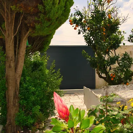 Rural Retreat - Quinta Sol 3 Bedroom House - Nazaré, Portugal *