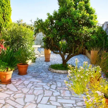 Rural Retreat - Quinta Sol 3 Bedroom House - Nazare, Portugal 펜션